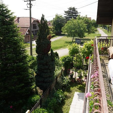 Etnobubi Novi Sip Exterior foto